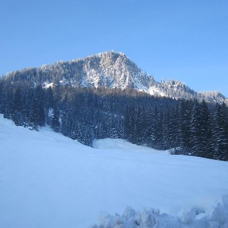 Oberschlassbergbauer Wald im Pinzgau Exterior foto